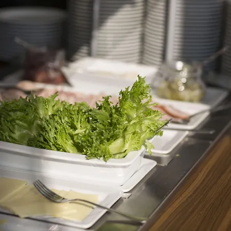 Hotel Finlandia Alba 3*