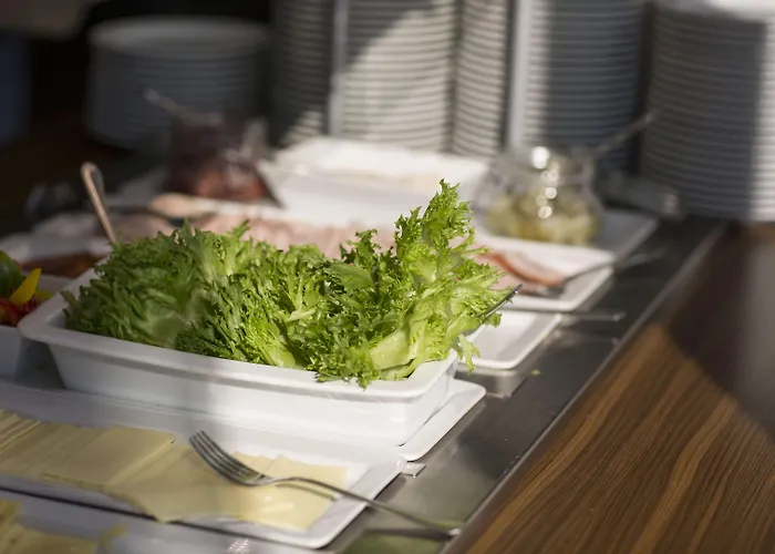 Hotel Finlandia Alba 3*